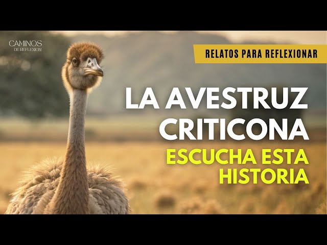 Abandonó todo por las avestruces: una historia inspiradora