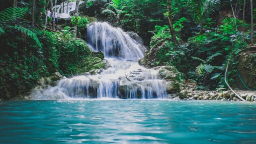 Agua cristalina, fuente musical: belleza natural en movimiento