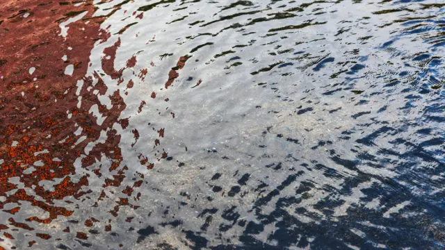 Agua turbia en la calle: ¿Qué significa soñar con este elemento?