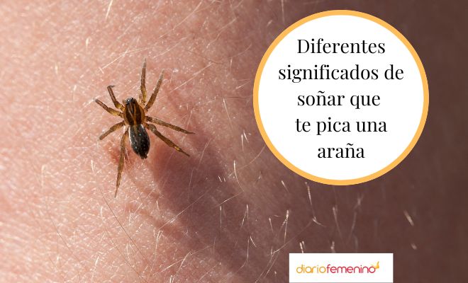 ¡Alerta! Descubre el significado de soñar con una picadura en la mano