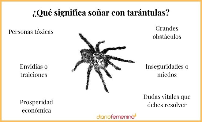 ¡Alerta! Descubre el significado de soñar con una tarántula en el oído