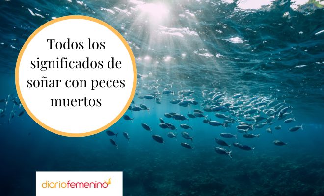 ¿Animales muertos en agua sucia? Descubre qué significa en tus sueños