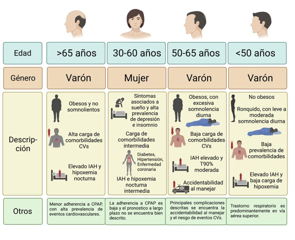 Apnea del sueño: máxima incidencia en la etapa REM