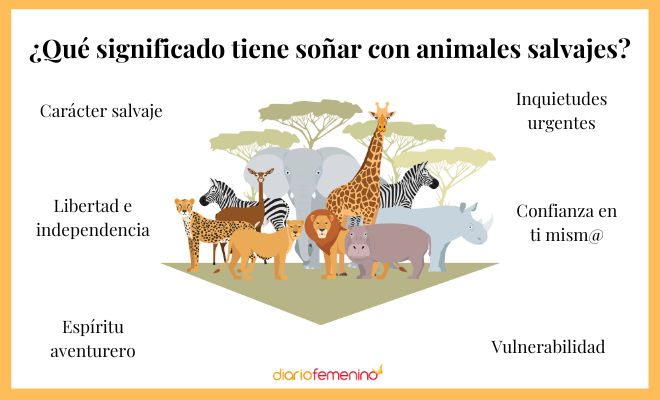 ¿Atacado por animales salvajes en sueños? Descubre su significado