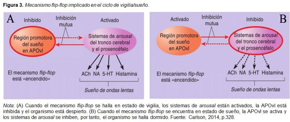 Bioquímica del antidepresivo y su impacto en el sueño