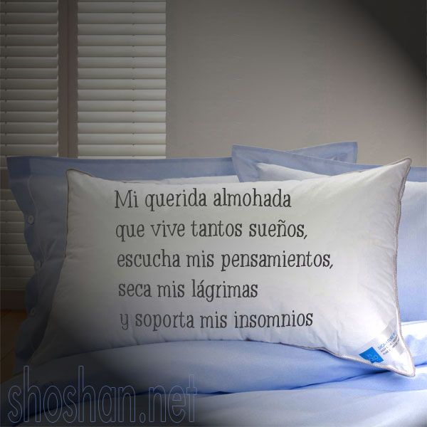 Buscando tu amor en mis sueños y mi almohada