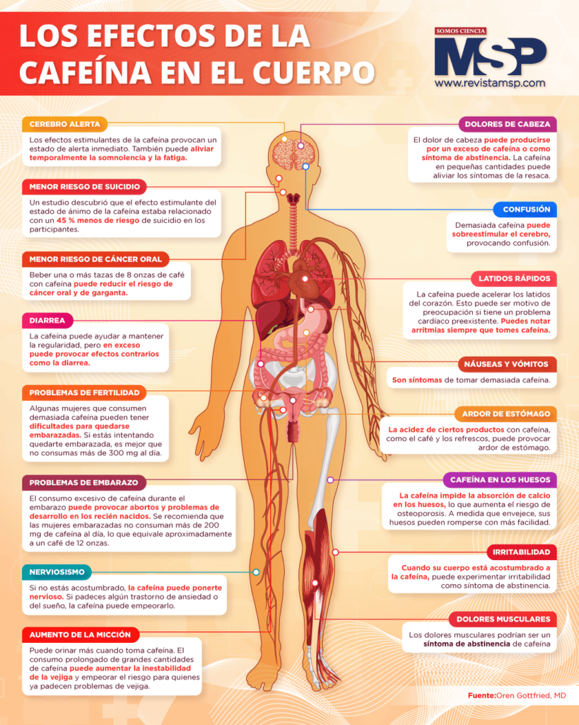 ¿Cafeína y somnolencia? Descubre por qué afecta a algunas personas