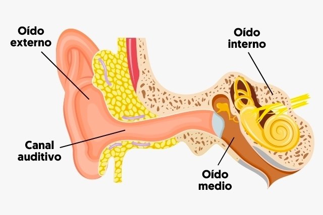 Causas de inflamación en piernas, oídos tapados y somnolencia