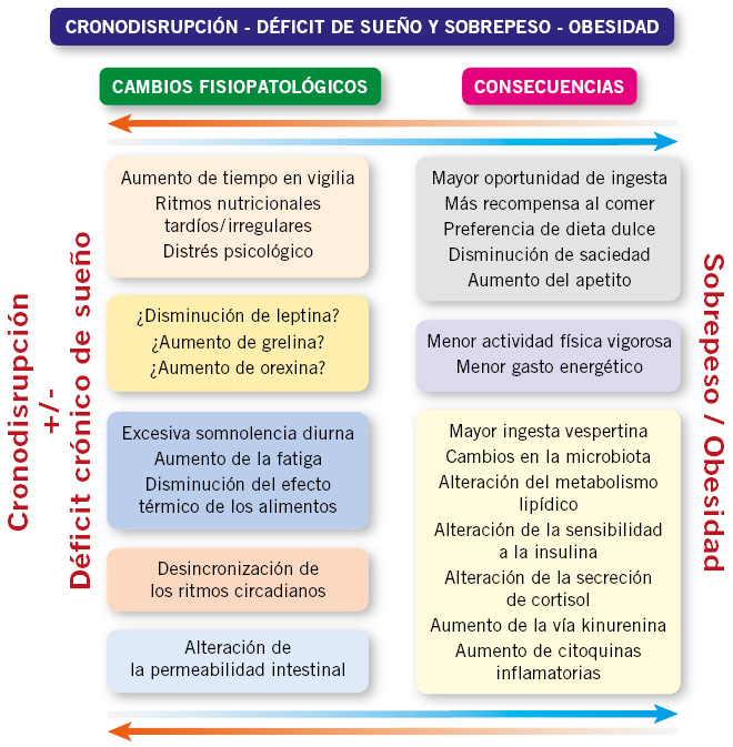 Comprende tus patrones: Características del sueño y vigilia