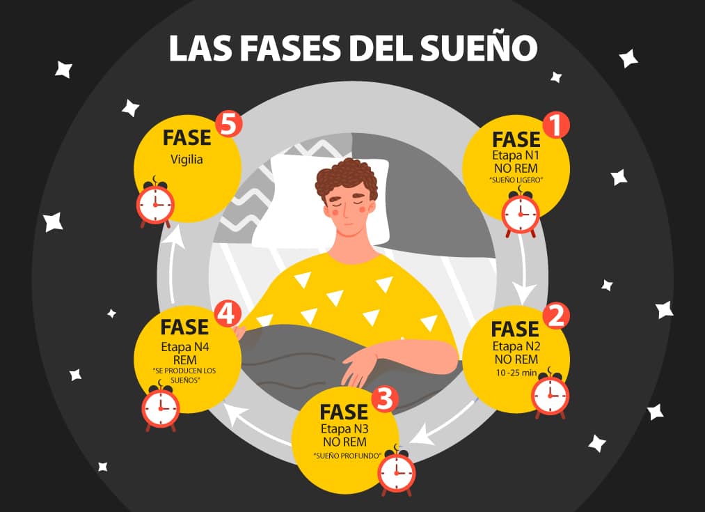 Consecuencias de saltarte la fase REM del sueño