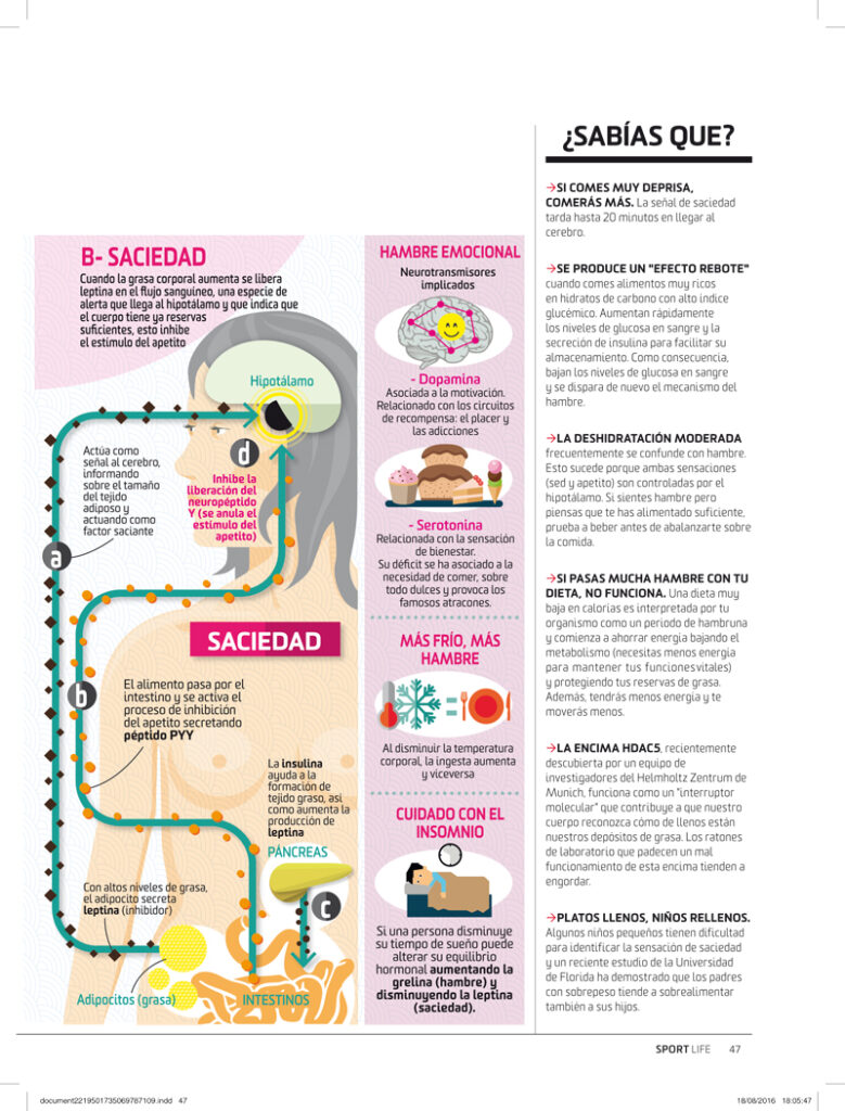 Controla tu cuerpo: temperatura, sueño, hambre y sed