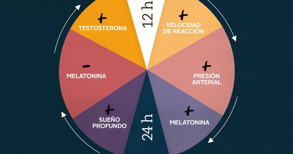 Controla tu ritmo circadiano con relojes biológicos