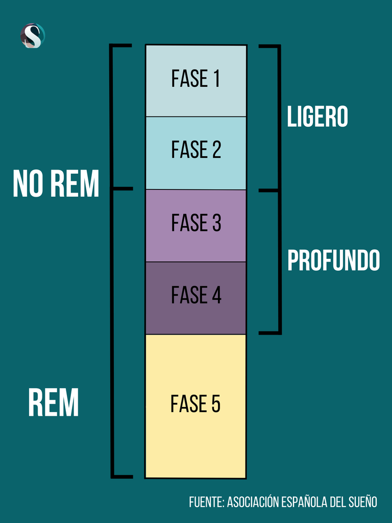 ¿Cuántas horas de sueño profundo necesitas? Descúbrelo aquí