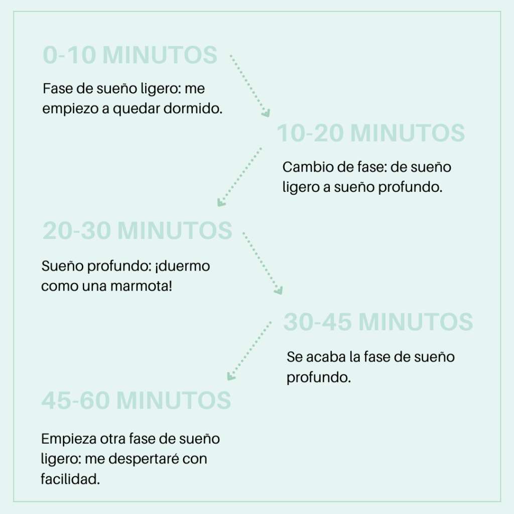 ¿Cuánto dura el sueño profundo y ligero? Descúbrelo aquí