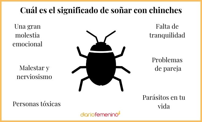 ¡Cuidado! ¿Sueñas que te llenas de chinches? Descubre qué significa el síndrome de D