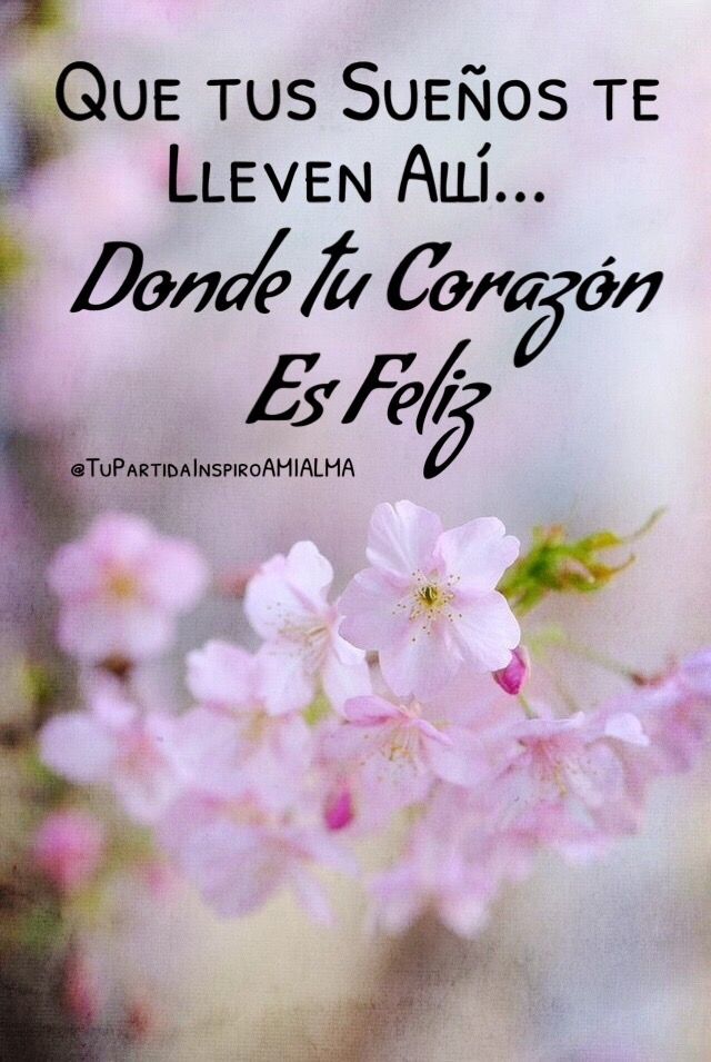 Deja que tus sueños te guíen a la felicidad del corazón