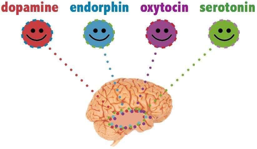 Descubre cómo las endorfinas y la serotonina afectan tu sueño