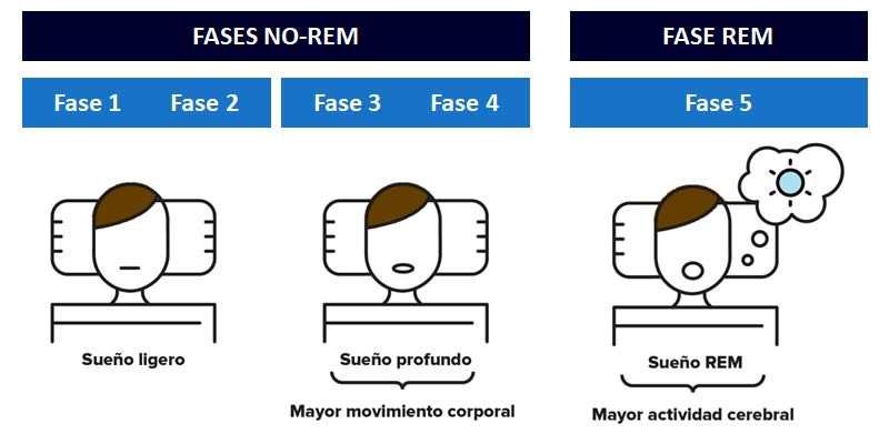 Descubre cuándo llegas al sueño profundo