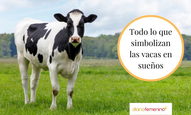 Descubre el mensaje detrás de soñar con una vaca enorme y voluminosa