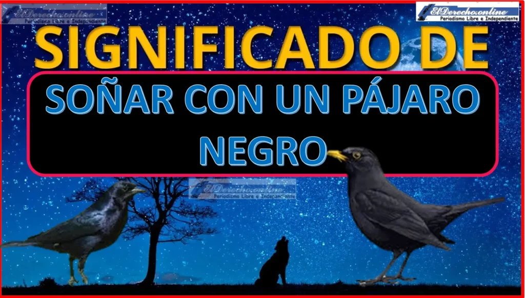 Descubre el misterio detrás de soñar con pájaros negros volando