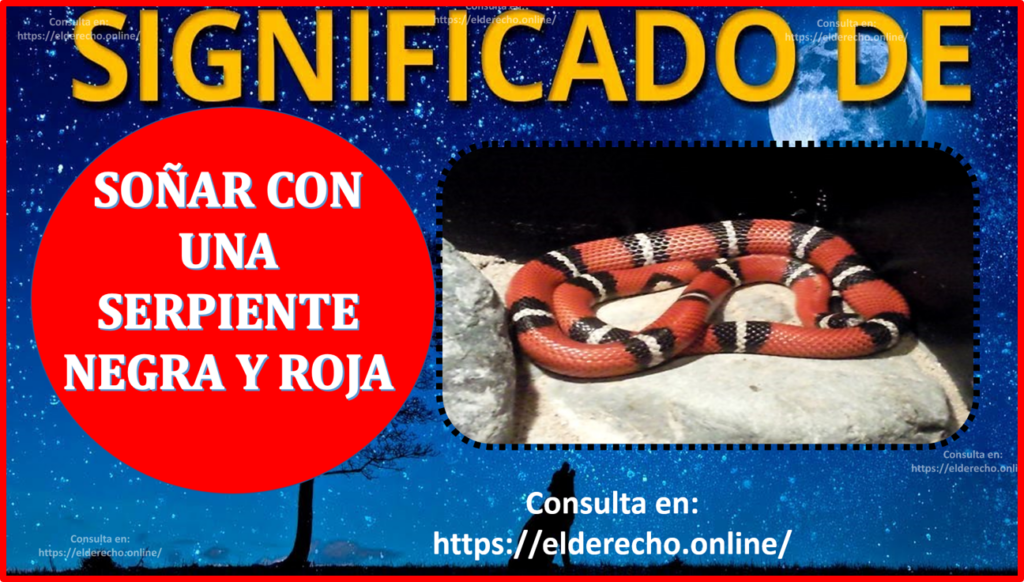 Descubre el misterio detrás de soñar con una serpiente roja y negra