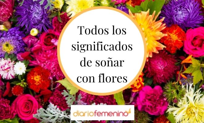 Descubre el misterioso significado de soñar con flores y monos