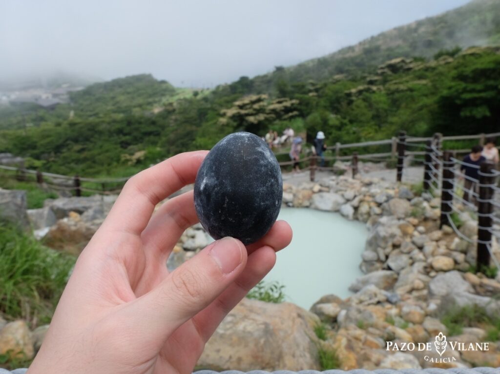 Descubre el misterioso significado de soñar con un huevo negro