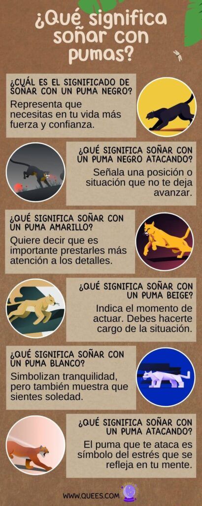 Descubre el misterioso significado de soñar con un puma negro