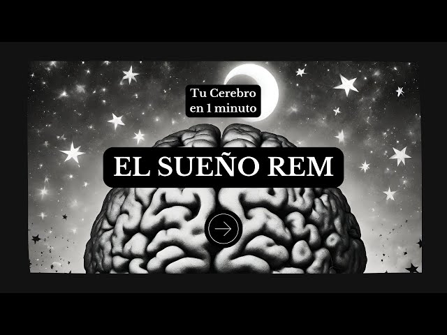 Descubre el mundo de los sueños REM y de baja densidad