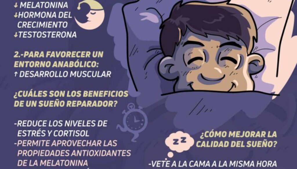 Descubre el músculo clave para dormir profundamente