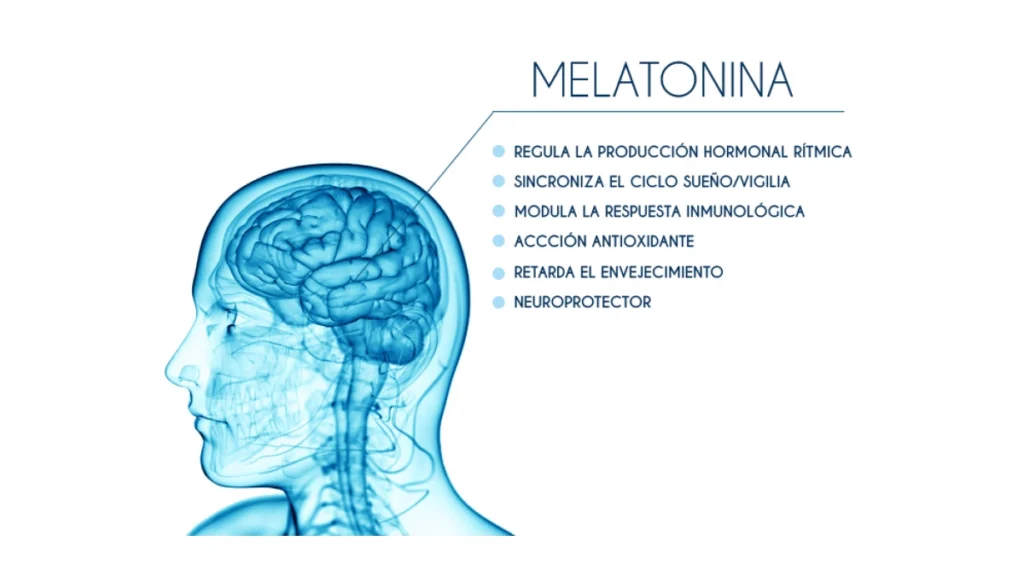 Descubre el nombre comercial de la hormona del sueño: Melatonina