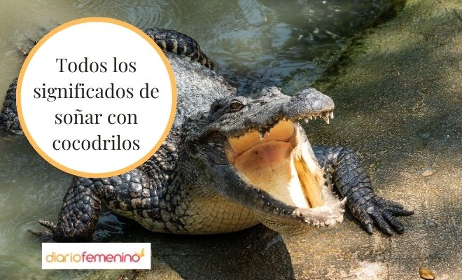 Descubre el oscuro significado del sueño con cocodrilos devoradores