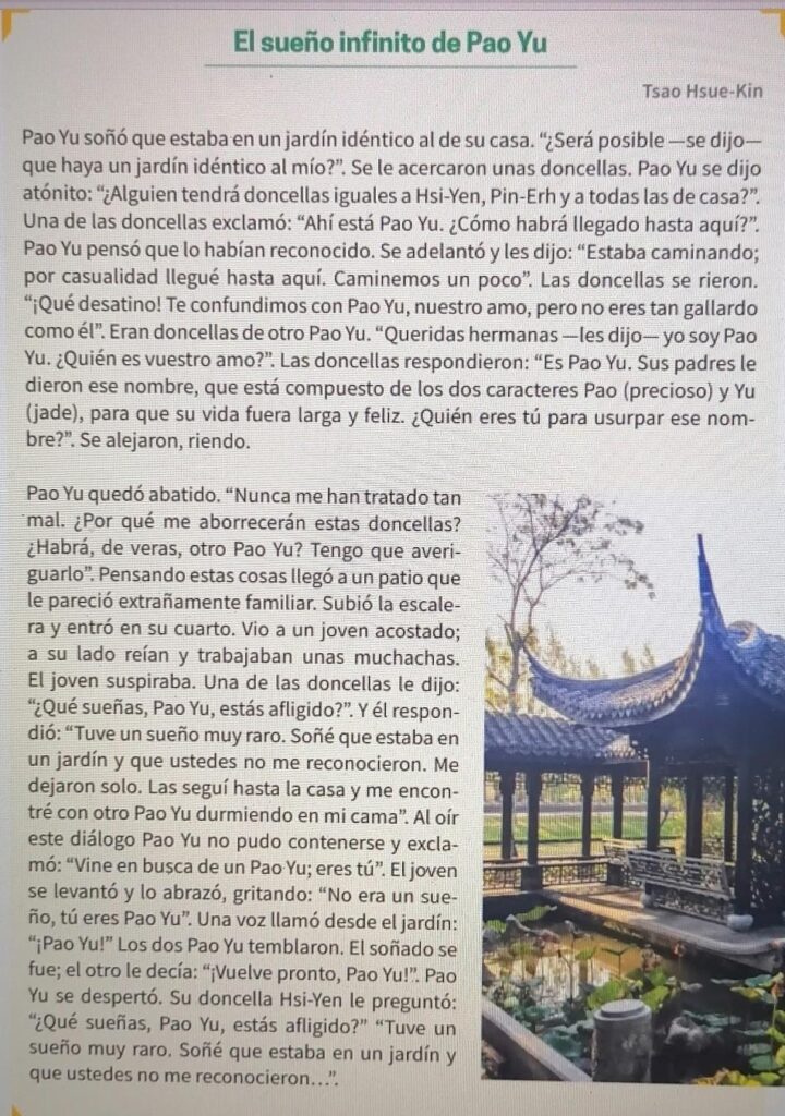 Descubre el propósito de la lectura con El Sueño Infinito de Pao Yu