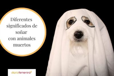 Descubre el significado de soñar con animales muertos