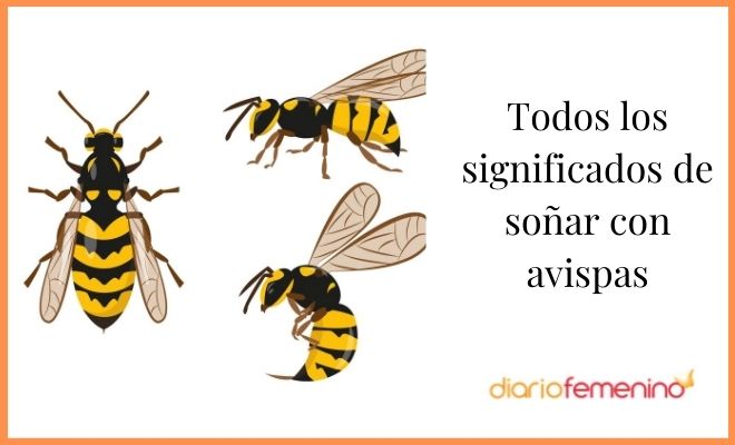 Descubre el significado de soñar con avispas y abejas que te pican