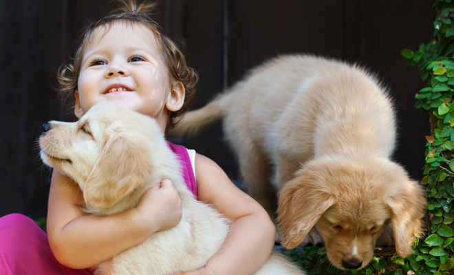 Descubre el significado de soñar con bañar a un cachorro perro