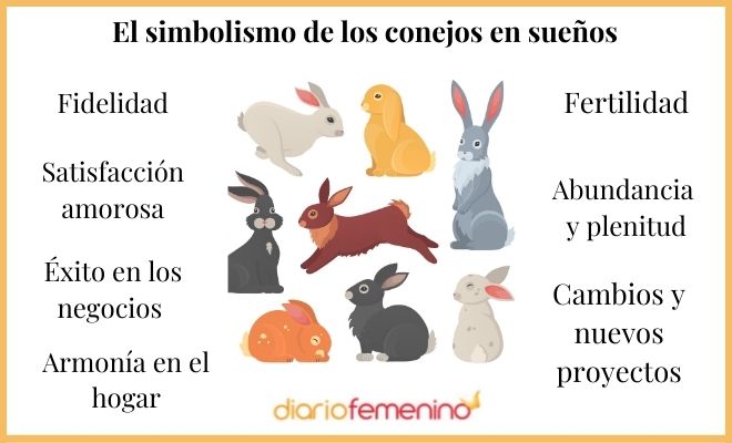 Descubre el significado de soñar con conejo muerto sin piel