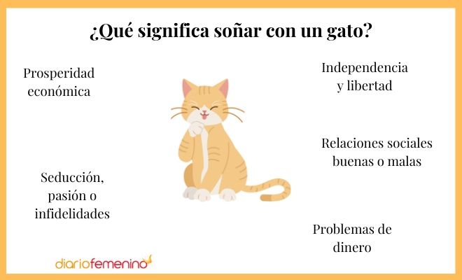 Descubre el significado de soñar con convertirte en gato