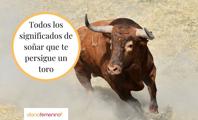 Descubre el significado de soñar con correr delante de un toro