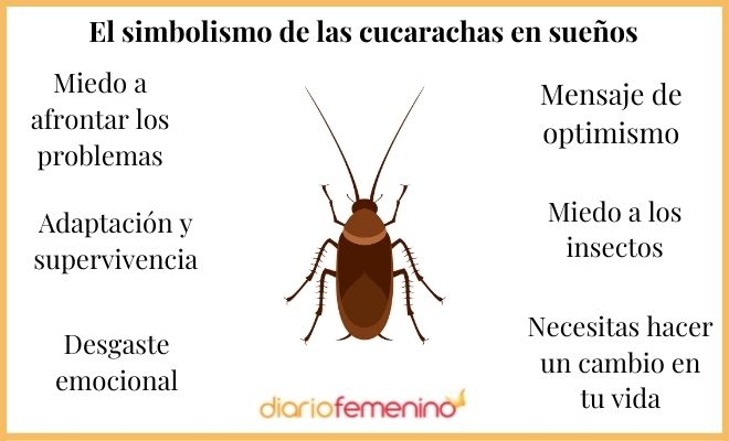 Descubre el significado de soñar con cucarachas en la cama