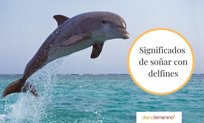 Descubre el significado de soñar con delfines saltando en el mar