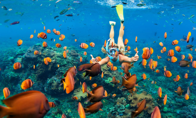 Descubre el significado de soñar con el mar azul y peces