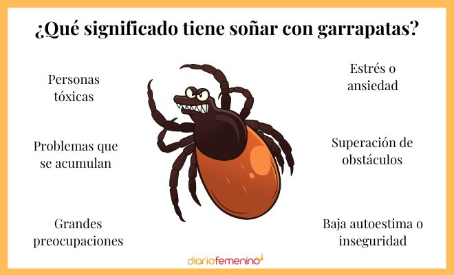 Descubre el significado de soñar con garrapatas blancas en la cabeza