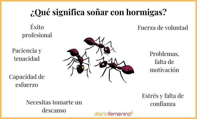 Descubre el significado de soñar con hormigas en el cuerpo