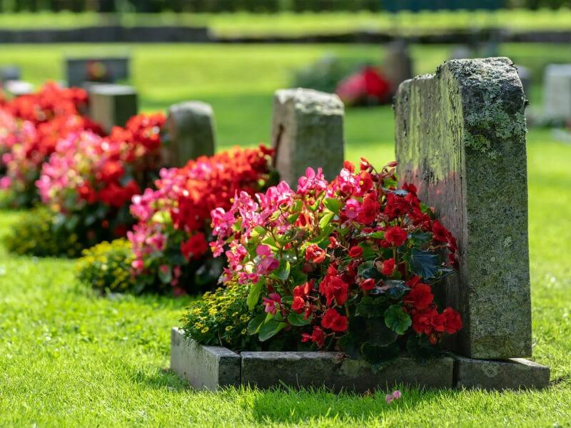 Descubre el significado de soñar con llevar flores al cementerio