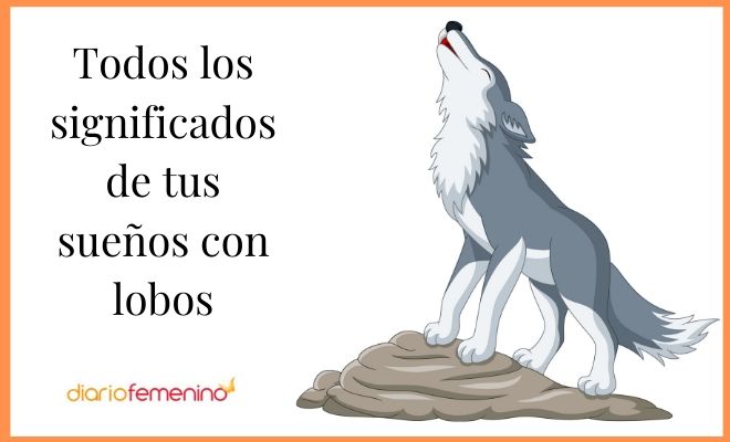 Descubre el significado de soñar con lobos de tierra