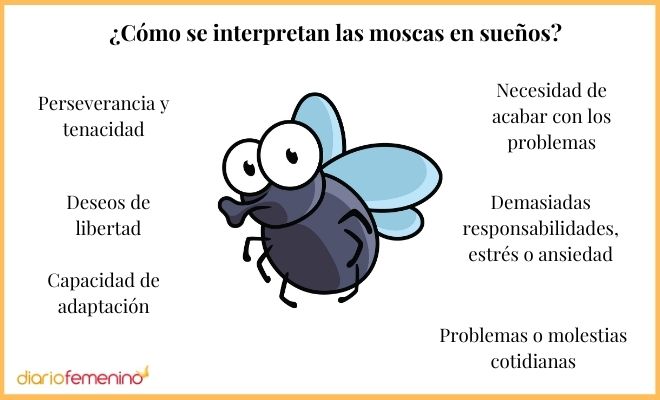 Descubre el significado de soñar con moscas en tu habitación