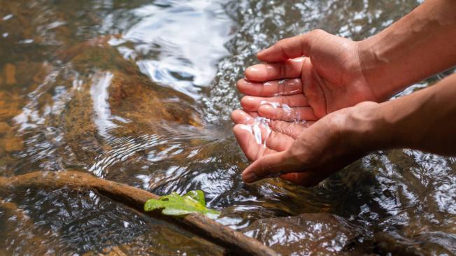 Descubre el significado de soñar con multitudes bañándose en un río