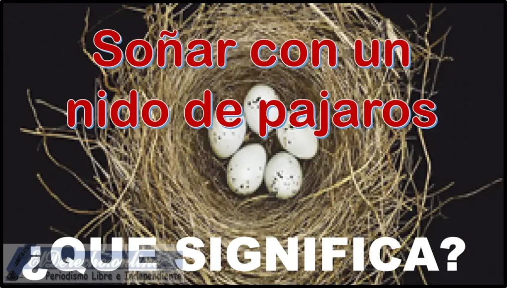 Descubre el significado de soñar con nido de pájaros y huevos