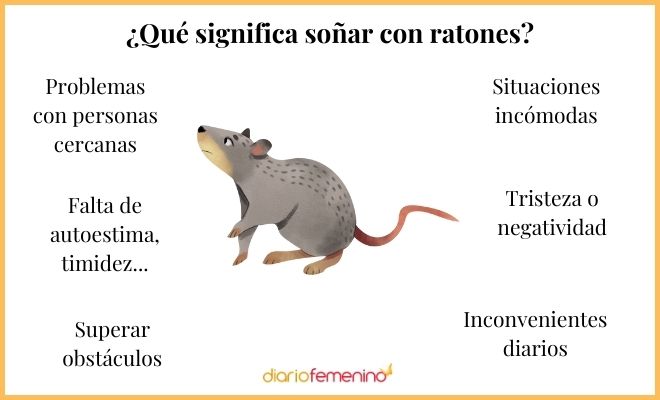 Descubre el significado de soñar con ratas de diferentes tamaños